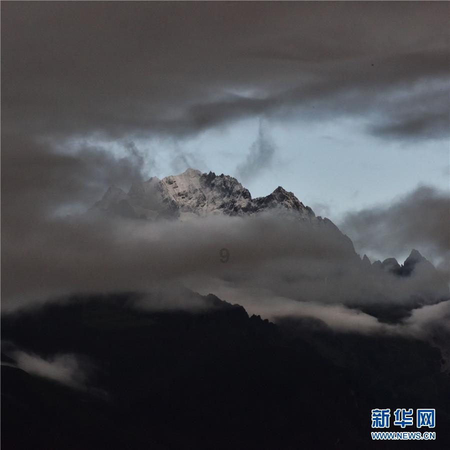 逃离制药厂