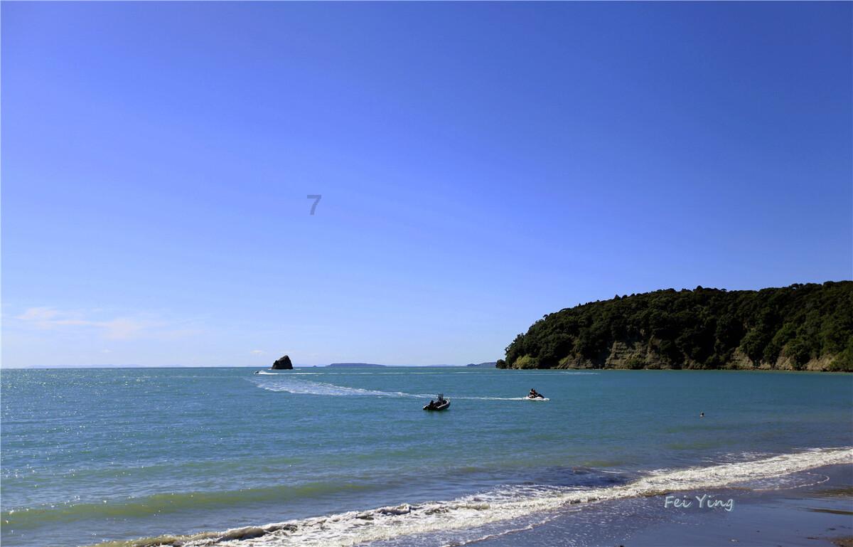 逃离阴森的岛屿